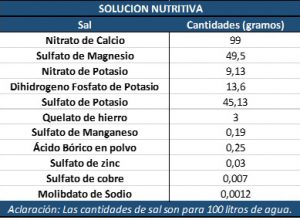 cuadro hidroponia