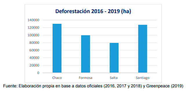 cuadro deforestación noroeste argentino