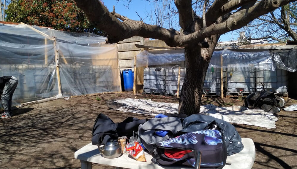 Biocuno - Biofertilizantes de Tandil