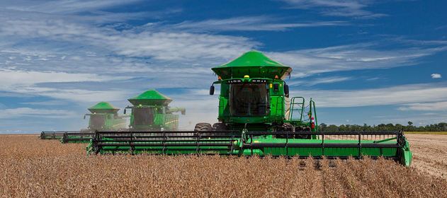 Por mejores rendimientos, la producción de soja sube a 56 millones de toneladas