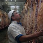 Mendoza 04-04-2008 Abastecimiento de carne

Faena de novillos en el frigorífico Vildoza (Maipú). En el frigorífico Vildoza estan faenando gran cantidad de novillos para poder abastecer éste fin de semana de carne a los supermercados, hipermercados, carnicerias.

Foto: Marcos Garcia / Los Andes