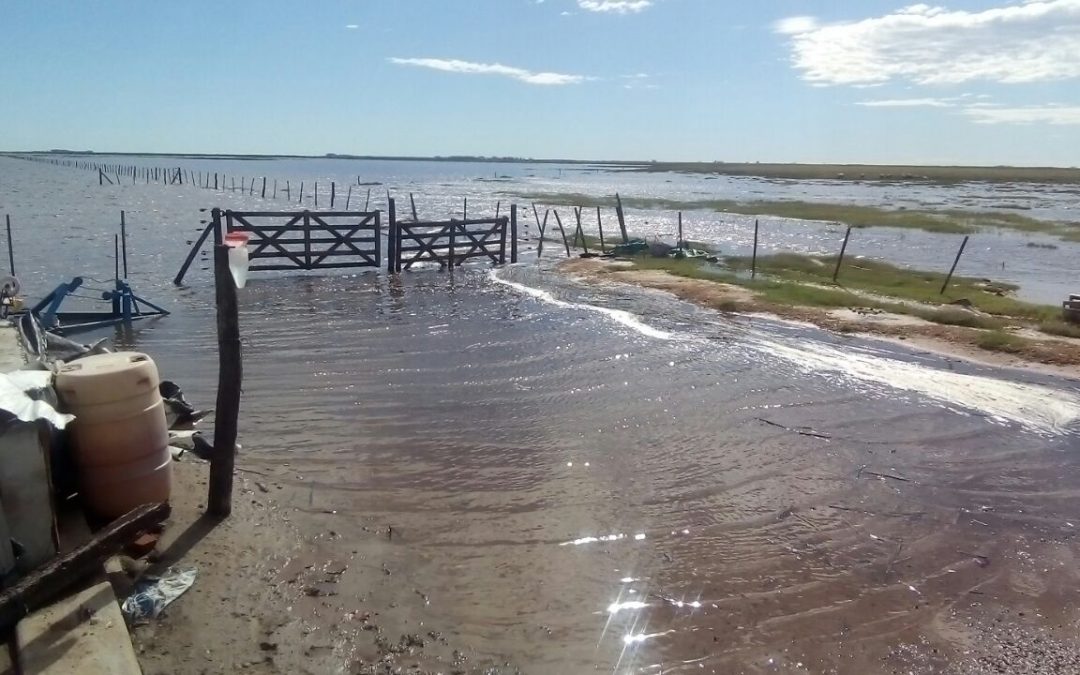 El 37% de los establecimientos agropecuarios sufrieron inundaciones