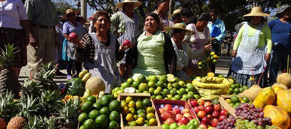 La comunidad boliviana es responsable del 80% de la producción frutihortícola