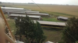 WhatsApp Image 2019 01 23 at 15.51.19