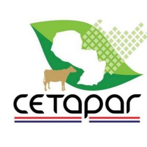 cetapar2