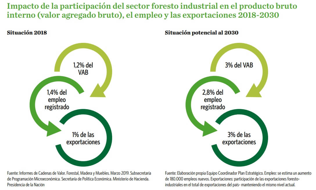 participación del sector forestal