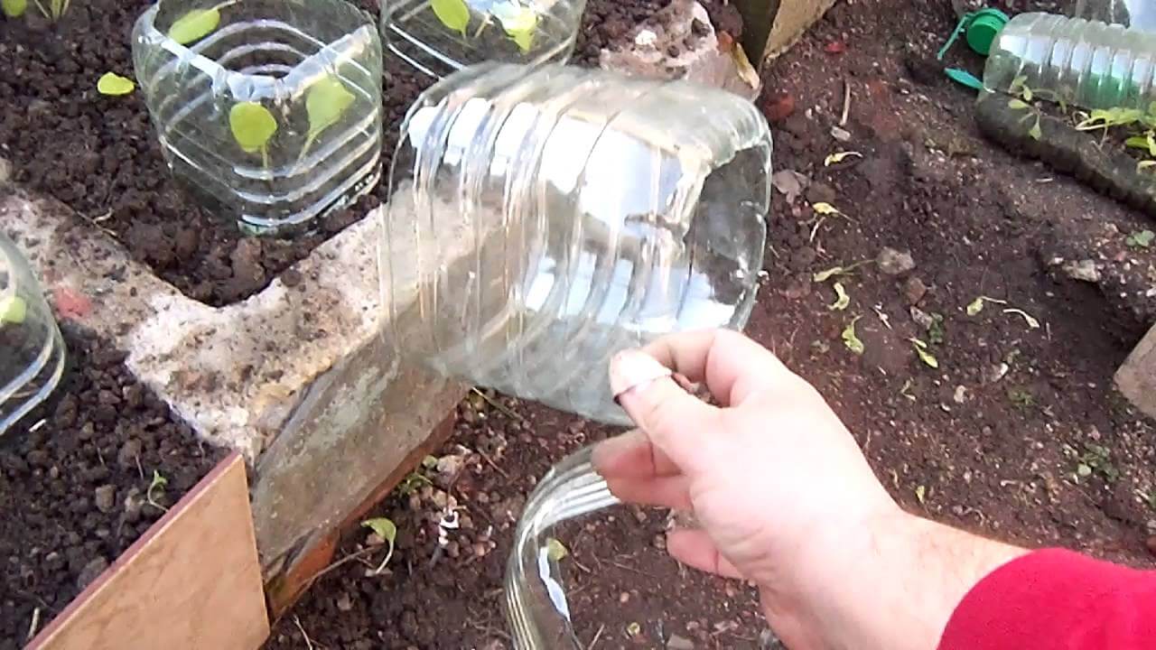 invernadero de plastico