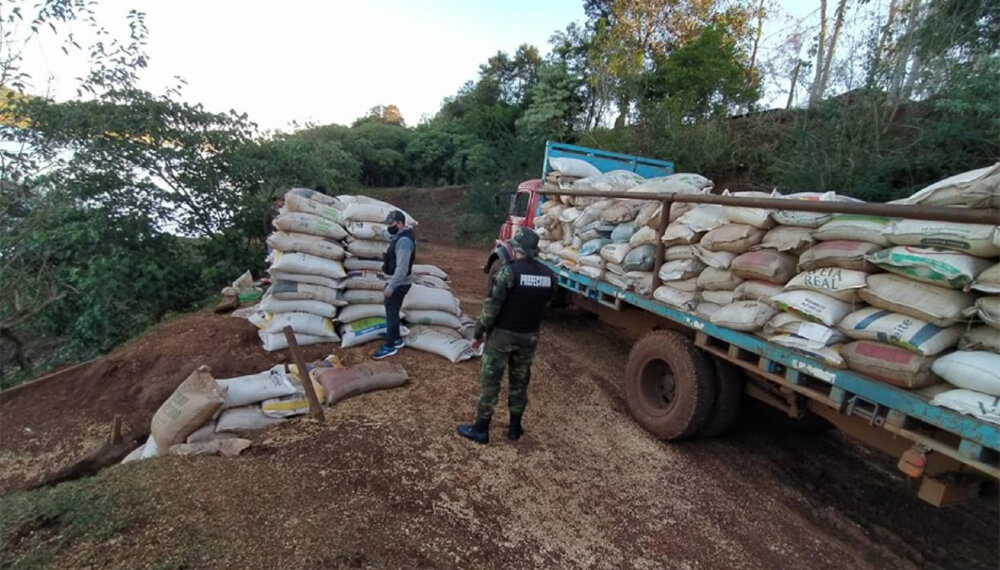 Abrieron 80 causas por supuesto contrabando de soja a Brasil