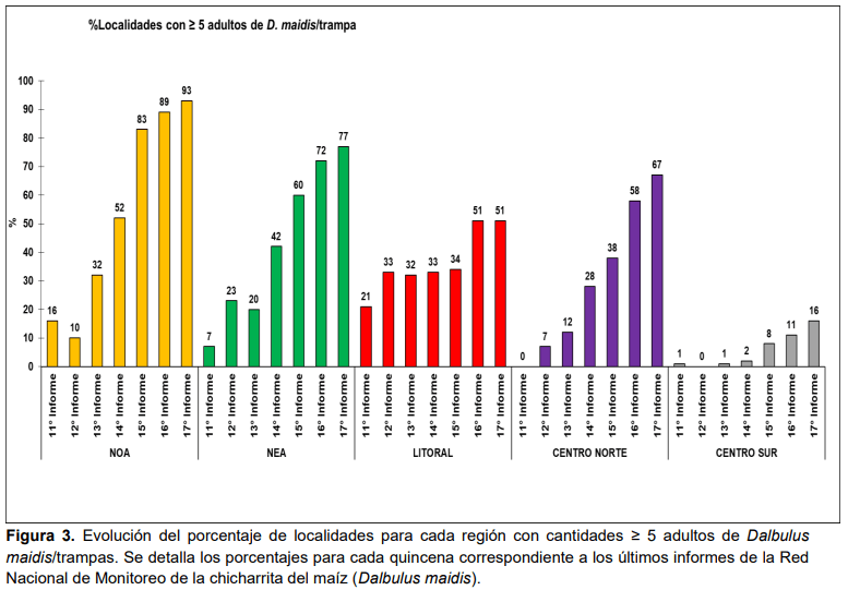 grafico chicharrita