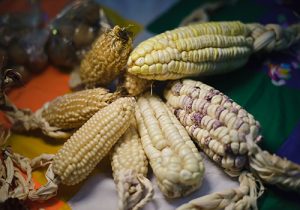 20160825_gecom_aforte-25