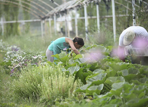 agricultura familiar 490x354 354 490 17233