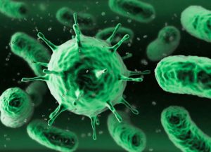 bacteria-490-354-490-24846