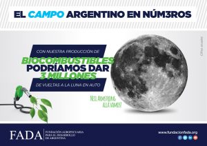 campo-en-nui__meros-biocombustibles