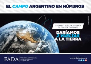 campo-en-nui__meros-granos