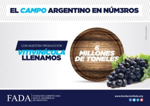 campo-en-nui__meros-vino