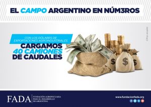 campo-en-nui__meros-dolares