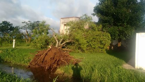 escuela-4