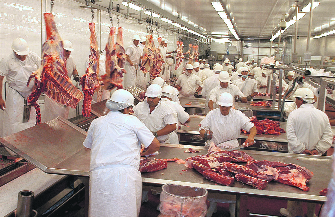 ¿Oportunidad para Argentina?: Brasil pierde fuerza en el mercado mundial de la carne vacuna 3 carne vacuna Frigorífico