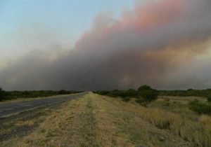 incendios-web-3