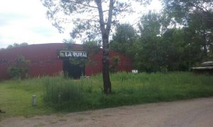 16731796_129578674227061_570590954_o