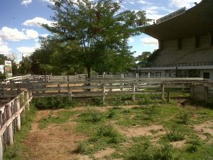 16735058_129572157561046_663492533_o