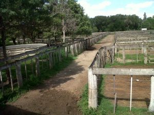 16735574_129574530894142_748156949_o