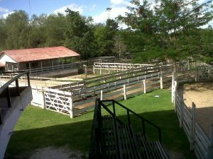 16763451_129574584227470_39470500_o