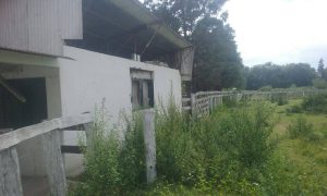 16775926_129581404226788_592043692_o