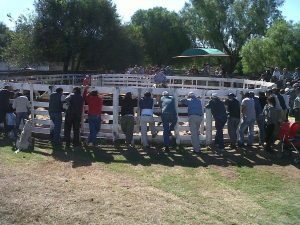 16776238_129570974227831_761422963_o