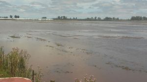 WhatsApp Image 2017-04-10 at 20.35.05 (1)