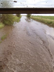 WhatsApp Image 2017-04-10 at 20.35.05