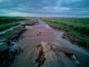 WhatsApp Image 2017-04-10 at 20.35.06