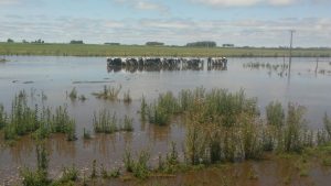 WhatsApp Image 2017-04-10 at 20.35.07 (1)