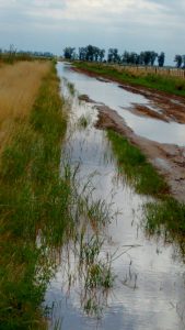 WhatsApp Image 2017-04-10 at 20.35.07