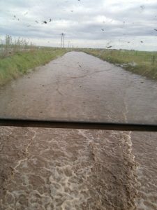 WhatsApp Image 2017-04-10 at 20.35.08 (1)