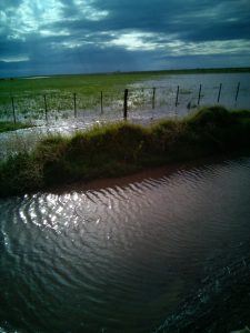 WhatsApp Image 2017-04-10 at 20.35.08