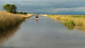 WhatsApp Image 2017-04-10 at 20.35.36 (1)