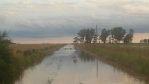 WhatsApp Image 2017-04-10 at 20.35.36