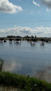 WhatsApp Image 2017-04-10 at 20.35.37