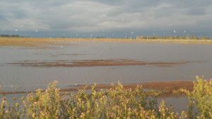 WhatsApp Image 2017-04-10 at 20.35.38 (1)