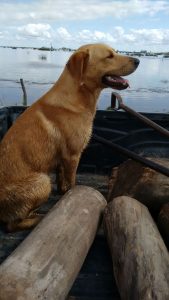 WhatsApp Image 2017-04-10 at 20.35.38