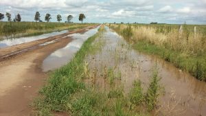 WhatsApp Image 2017-04-10 at 20.35.39