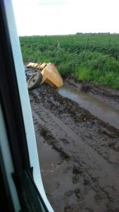 WhatsApp Image 2017-04-10 at 21.21.50 (1)