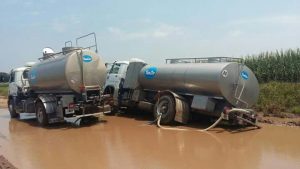 WhatsApp Image 2017-04-10 at 21.21.52 (1)