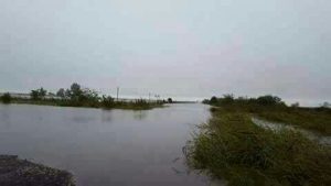 WhatsApp Image 2017-04-10 at 23.07.52