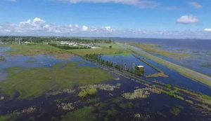 WhatsApp Image 2017-04-10 at 23.07.53