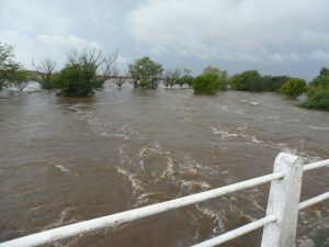 WhatsApp Image 2017-04-10 at 23.09.00