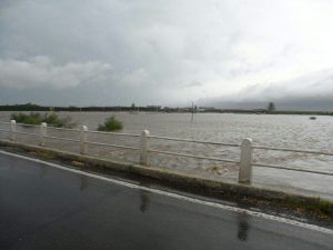 WhatsApp Image 2017-04-10 at 23.09.03 (1)