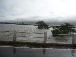 WhatsApp Image 2017-04-10 at 23.09.03