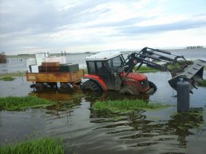 WhatsApp Image 2017-04-11 at 05.53.54 (1)